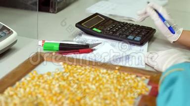 玉米种子的实验室研究.. 不同品种、品种选择玉米样品。 实验室